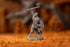 Dark Souls The Role Playing Game: Unkindled Heroes Pack 2 Miniatures & Stat Cards...