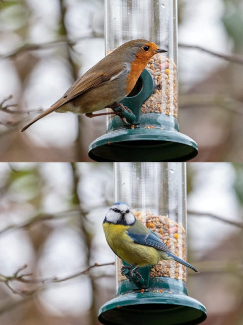 iBorn Metal Bird Feeders 6 Ports Hanging Wild Bird Seed Feeder for Mix Seed Blends, Niger Seed Feeder, Sunflower Heart, Birdbath, Heavy Duty All M...