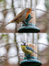 iBorn Metal Bird Feeders 6 Ports Hanging Wild Bird Seed Feeder for Mix Seed Blends, Niger Seed Feeder, Sunflower Heart, Birdbath, Heavy Duty All M...