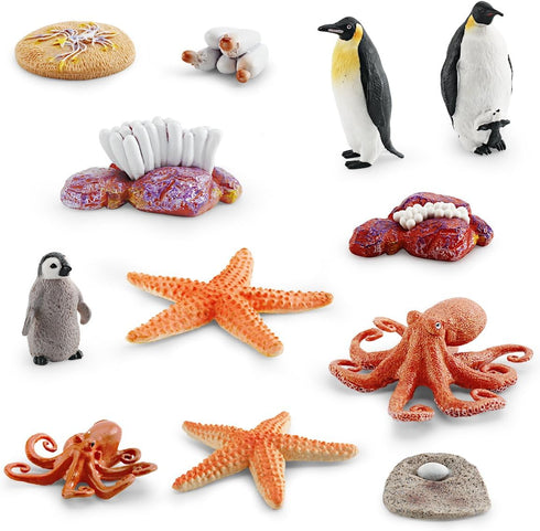 Marine Animal Life Cycle Penguin Life Cycle, Octopus Life Cycle Model, Starfish Life Cycle Model Playset 12PCS Preschool Playset Children, Toddler...