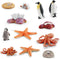 Marine Animal Life Cycle Penguin Life Cycle, Octopus Life Cycle Model, Starfish Life Cycle Model Playset 12PCS Preschool Playset Children, Toddler...
