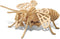 Puzzled 3D Puzzle Honeybee Wood Craft Construction Model Kit, Unique & Educational DIY Wooden Insect Toy Assemble Bee Model Unfinished Crafting Ho...