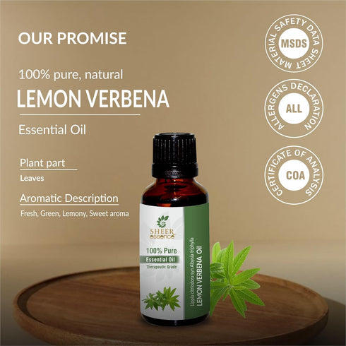 Lemon Verbena Oil 15 ML (0.51 Fl.OZ) | 100% Pure Natural Undiluted Uncut Therapeutic Grade Lippia Citriodora Syn Aloysia Triphylla Essential Oil...