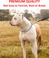 Dog Collar Slip Collar Metal Collar Chewproof P Collar Heavy Chain Dog Training Collar Choke Collar Adjustable Weather Proof Alloy Collars for Sma...