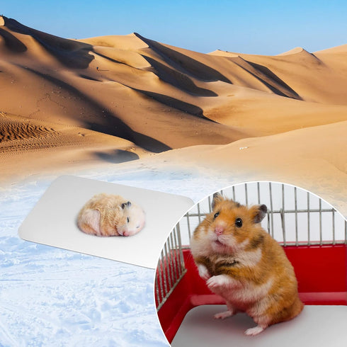 Bunny Cooling Pad Rabbit Hamster Cooling Mat Chinchillas Cooling Pad Aluminum Silver Metal Summer Cooling Mat for Hamster Bunny Guinea Pig and Oth...
