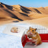 Bunny Cooling Pad Rabbit Hamster Cooling Mat Chinchillas Cooling Pad Aluminum Silver Metal Summer Cooling Mat for Hamster Bunny Guinea Pig and Oth...