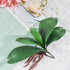 Miracliy Phalaenopsis Orchid Leaves Fake Leaves Real Latex Touch Plants Arrangement...