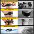 Knee Patellar Tendon Support Strap - 2 Packs Knee Brace for Men & Women - Adjustable Knee Band Stabilizer for Jumpers Meniscus Tendonitis Relief -...