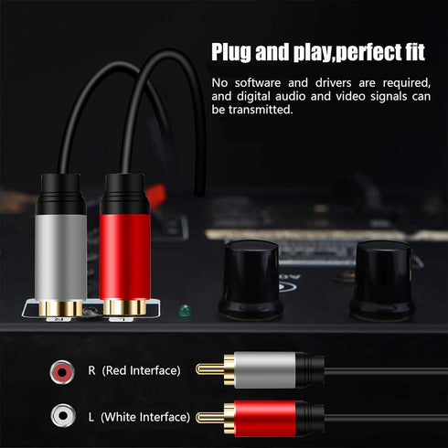 2RCA to 2RCA Cable 3Ft, Gold-Plated 2 RCA Male to 2 RCA Male Stereo Audio Cable for Home Theater, HDTV, Gaming Consoles, Hi-Fi Systems (3Ft/1M)...
