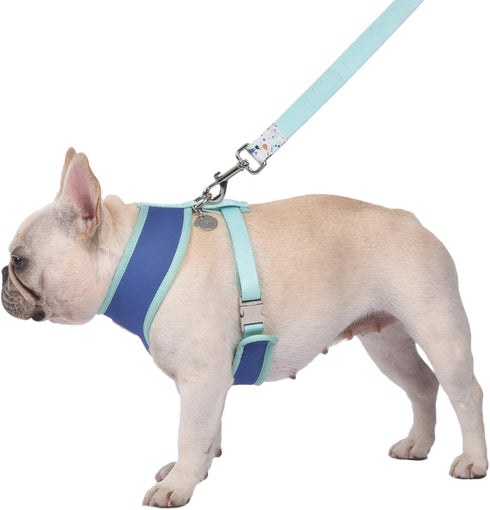 Now House for Pets by Jonathan Adler Terrazzo Reversible Harness, Medium | Stylish, Fashionable, and Functional Way to Keep Your Dog Looking Great...