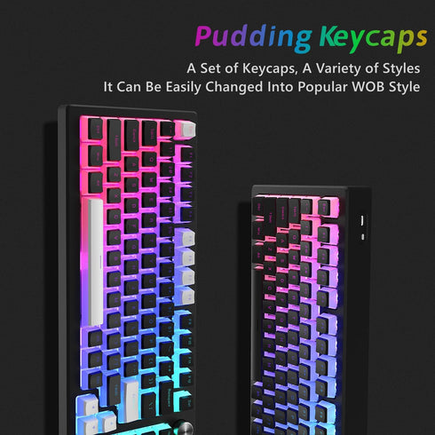 Womier Pudding Keycaps, PBT Keycaps 165 Keys Set Custom Keycap Set, Shine Through Keycaps OEM Profile, Universal Compatiability for 100%, 75%, 65%...