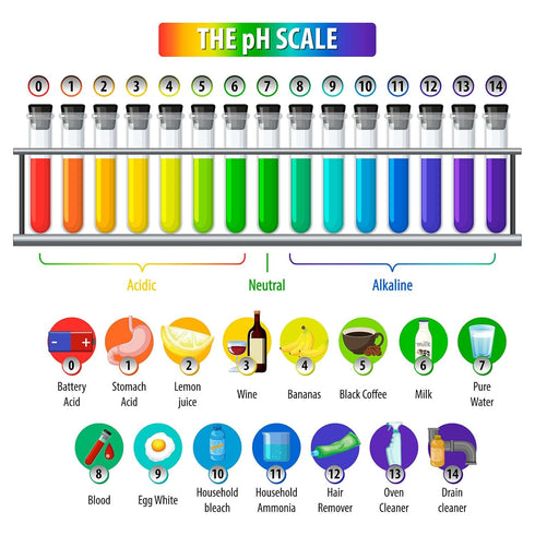 pH Test Strips with Test Pipette Droppers and 1 Storage Case Full Range 1-14 Universal pH Test Litmus Paper pH Strips Water pH Tester pH Paper Tes...