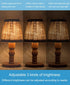 3 Way Light Bulbs, 3 Way led Light Bulbs 50 100 150 Watt Equivalent Standard A21,Perfect for Home Lighting Natural White 4000K, 500 1600 2200 Lume...