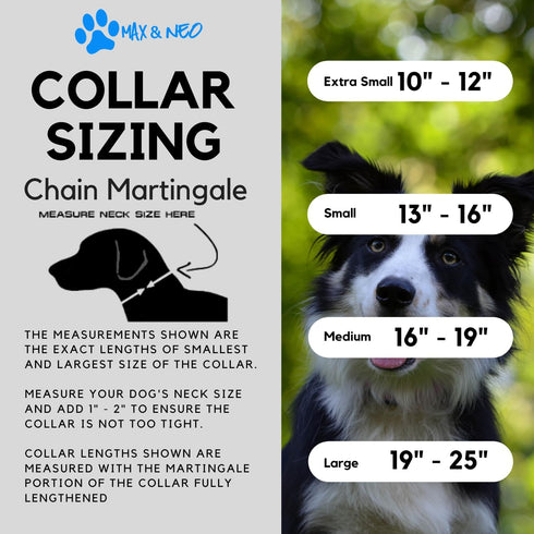 Max and Neo Stainless Steel Chain Martingale Collar - We Donate a Collar to a Dog Rescue for Every Collar Sold (Medium, PINK)...