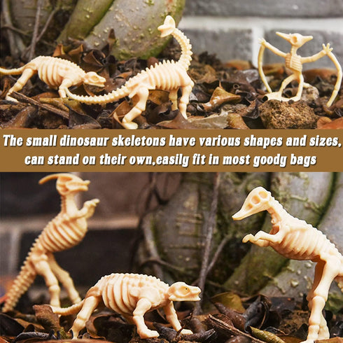 Qiuttnqn 60 Pack Dinosaur Fossil Skeletons,Plastic Figures Dino Bones,Dinosaur Skeleton Toys for Dino Sand Dig,Science Play,Party Favor,12 Styles...