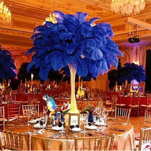 10pcs Natural Ostrich Feather Craft Plume for Wedding Centerpieces Home Decoration (14-16inch, Black)...