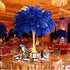 10pcs Natural Ostrich Feather Craft Plume for Wedding Centerpieces Home Decoration (14-16inch, Black)...