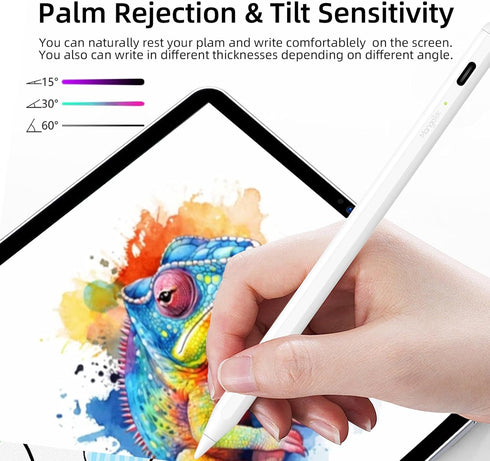 Stylus Pen for iPad 2018-2023,Apple iPad Pencil USB C with Palm Rejection, Tilt Sensitivity, Work with iPad Pro 11", iPad Pro 12.9", iPad 6/7/8/9/...