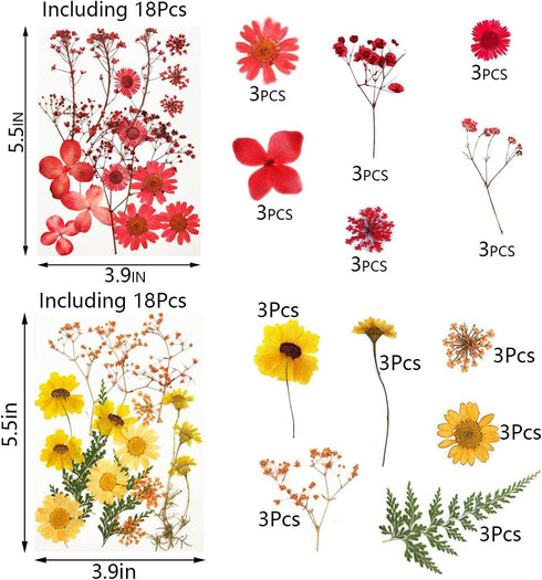 Dried Pressed Flowers?80 Pcs Real Pressed Flowers Dry Leaves Bulk Natural Herbs Kit for Scrapbooking DIY Art Crafts, Epoxy Resin Jewelry, Candle, ...