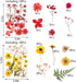 Dried Pressed Flowers?80 Pcs Real Pressed Flowers Dry Leaves Bulk Natural Herbs Kit for Scrapbooking DIY Art Crafts, Epoxy Resin Jewelry, Candle, ...