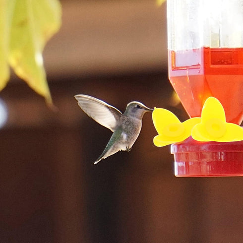 POPETPOP 12Pcs Hummingbird Feeder Replacement Flowers Bird Feeder Feeding Ports Replacement Parts for Hanging Feeders Yellow...