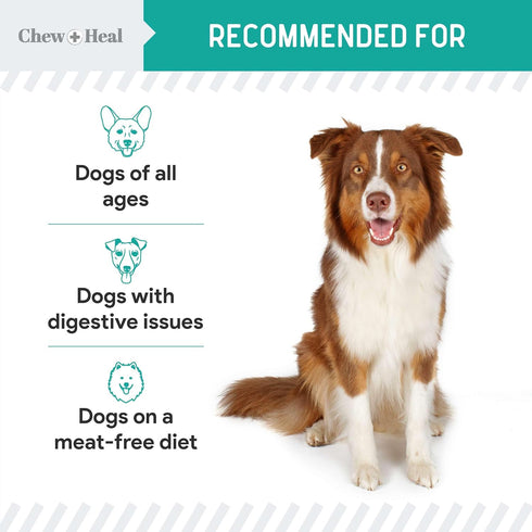 Chew + Heal Labs Probiotic Salmon Jerky Dog Treats - 5 oz of Salmon Jerky for Digestive Health - Made with Wild Alaskan Salmon, Apples, Pumpkin, P...