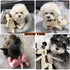 5 Pack Tough Dog Toys Stuffed Squeaky Dog Toys Assortment Value Bundle Dog Squeaky Toys Assortment Puppy Pet Mutt Dog Toy Dog Squeak Toy for Mediu...