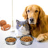 Stainless Steel Anti-Slip Dog Bowls,Non-slip Stainless Steel Pet Bowl with Foot Mat - Perfect for Mess-free Mealtime,Quiet Pet Bowls for Cats and ...