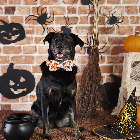 Dog Collar - Thanksgiving Turkey Dog Collar Gift Soft Bow Collar Adjustable Metal Buckle Dog Collar for Medium Dogs...