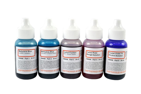 Innovating Science Bacteria Stain Set - 5 Microscope Slide Stains in 30mL Dropper Bottles: Methylene Blue (2), Carbol Fuchsin, Carbol Rose Bengal,...