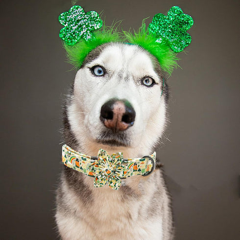 Elegant little tail St. Patrick's Day Dog Collar, Dog Collar with Flower, Green Clover Dog Collar Pet Gift Dog Flower Adjustable Dog Collar for Sm...