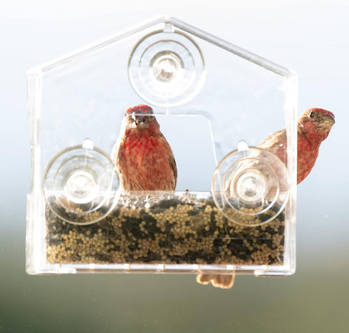 Perky-Pet 345 Clear Outdoor Window Bird Feeder with Strong Suction Cups – 1/2 Lb Seed Capacity...