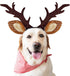KUDES Dog Cat Christmas Reindeer Antlers Headband Classic Adjustable Elk Hat Headwear Pet Deer Cospaly Costumes Accessories (L(for Medium Big Dogs...