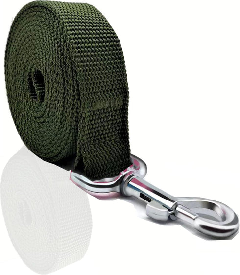 Nylon Dog Leash 10 Feet Long, Walking Training Dog Leashes for Medium Large Dogs, 1 Inch Wide (Green)...