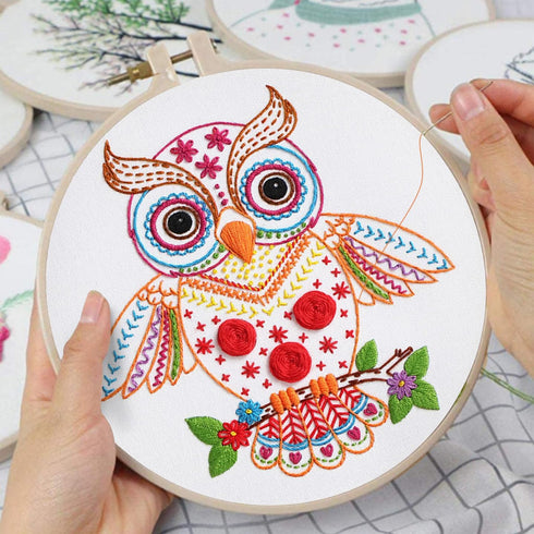 Louise Maelys Beginners Adults Embroidery Kit,Owl stamped pattern Practice kit,Starters cross stitch kit including embroidery hoop,cloth,needles, ...