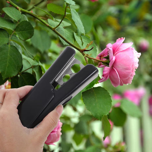 Abaodam 2pcs Leaf Thorn Stripper Tool Roses Thorn Remover Professional Tree Pruner Hand Tools DIY Bouquet Garden Florist Tool for Gardening Flower...