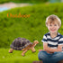 Giant Tortoises Large Turtle Safari Animal Toys Wildlife Figurines Collection, Educational Toys for Kids, Outdoor Garden Statues and Home Decorati...