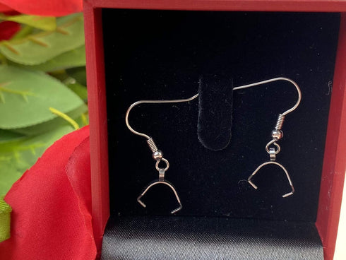 50PCS Stainless Steel Pendant Clasp Earring Hooks Ear Wire Buckle Fish Hooks for DIY Jewelry Making...