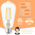 GOLSPARK Edison Bulbs 60 Watt Equivalent, E26 LED Bulb Soft White 3000K, 800LM, 6W 120V CRI85, E26 Base, ST58 Clear Vintage Light Bulbs for Living...