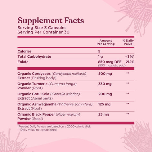 Four Sigmatic Memory Capsules | Reduce Brain Fog & Improve Memory | Nootropic Memory Supplement for Brain Support with Cordyceps Mushroom, Gotu Ko...