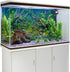AWERT 72x24 inches Tropical Fish Tank Background River Bed & Lake Aquatic Plant Undersea Tree Branch Aquarium Background Vinyl...