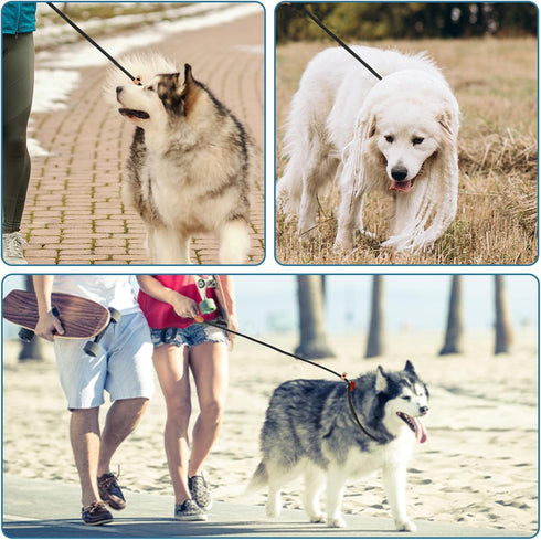 1/4'' Dog Leash Slip Leads Dog Slip Training Leash 4.2FT Black Slip Leash for Dogs Nylon Rope Dog Training Leash Slip Leash for Medium Large Dogs'...