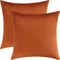 Mixhug Set of 2 Cozy Velvet Square Decorative Throw Pillow Covers for Couch and Bed, Burnt Orange, 18 x 18 Inches...