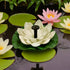 Solar Fountain Pump, Floating Water Lily Bird Bath Fountain with 6 Nozzles for Garden Patio Outdoor Pool Hummingbird Bath and Fish Pond Decor...