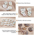 PH PandaHall 100pcs Natural Shell Buttons 3 Sizes Shell Round Buttons 2-Hole Sewing Buttons Craft Seashell Buttons for DIY Sewing Crafts Clothes C...