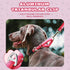 Martingale Dog Collar Pink Light-Reflective Polyester Collars for Dogs Whippets, Greyhounds, Saluki, American Bully, No-Pull No-Escape Safety Trai...
