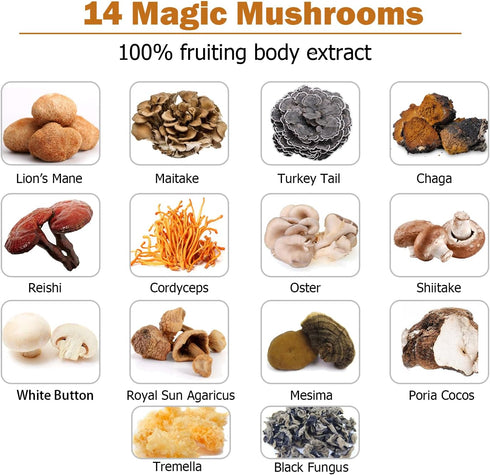 14 Mushrooms Supplement 120 Capsules - Immune System Booster & Nootropic Brain Supplement – with Lion’s Mane, Reishi, Maitake, Turkey Tail, Chaga ...