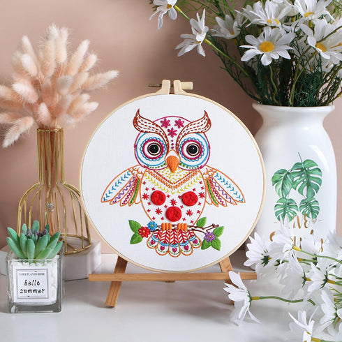 Louise Maelys Beginners Adults Embroidery Kit,Owl stamped pattern Practice kit,Starters cross stitch kit including embroidery hoop,cloth,needles, ...