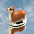 Kikkerland Solar Powered Corgi Dog Figurine: Fun Animal Decor for Home & Kitchen, Office Desk, Garden, Car – Great Novelty Toy Statue, Display She...