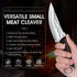 Fixed Blade Hunting Knife, 8.5-inch Bushcraft Survival Tactical Knife with Sheath and Non-Slip Ergonomic Handle for Camping, Outdoor, Bushcraft...
